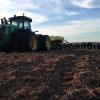 Planting Beans