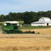 Wheat Harvest